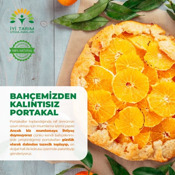 Valencia Portakal