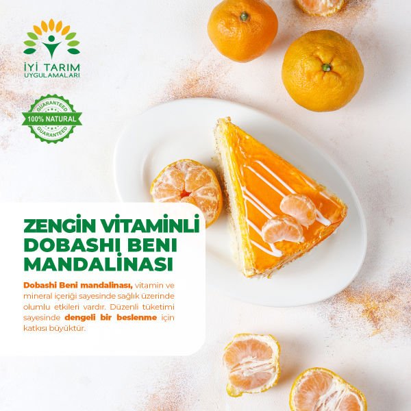 Dobashi Beni Mandalina