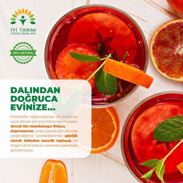 Kanlı Valencia Portakalı