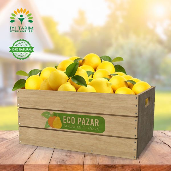 Mayer Limon