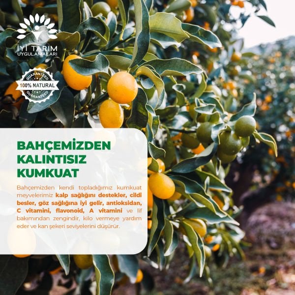 Kumkuat