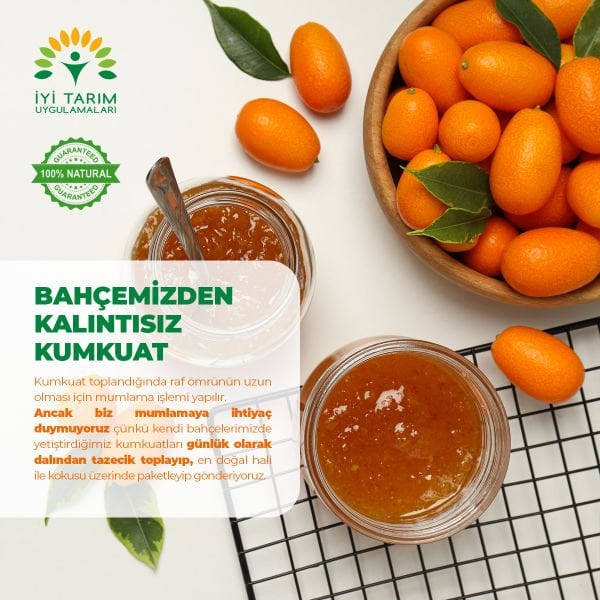 Kumkuat
