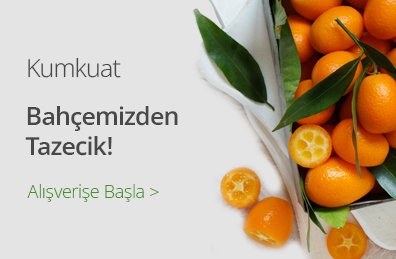 Alt Etiketi