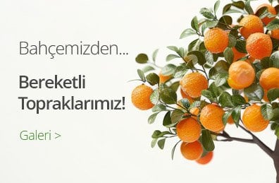 Alt Etiket